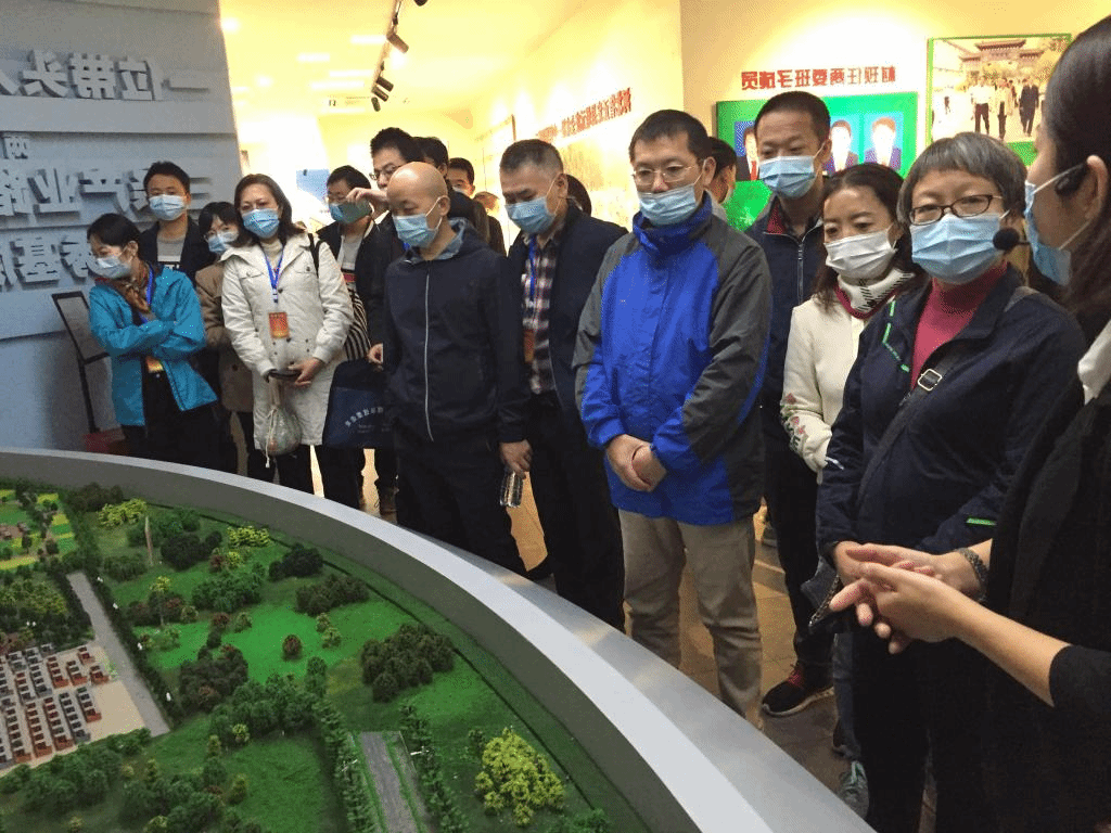 点击查看大图