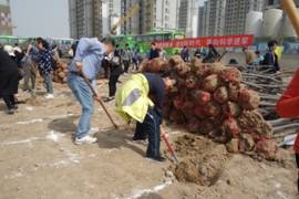 微信图片_20190321111052.jpg